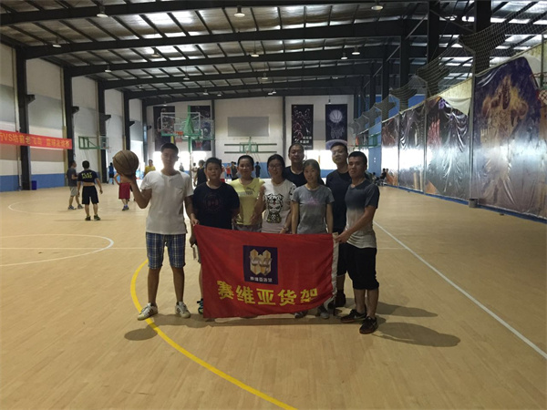 體育運(yùn)動,打籃球,打羽毛球